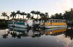 Adventures in Paradise Boat Cruise Tours in Fort Meyers, Florida