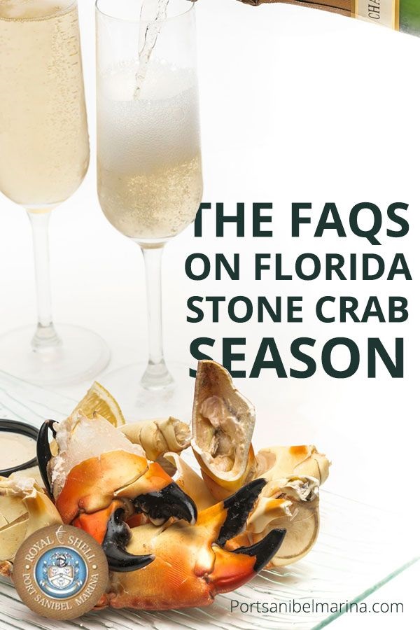 stone crab season Pinterest image